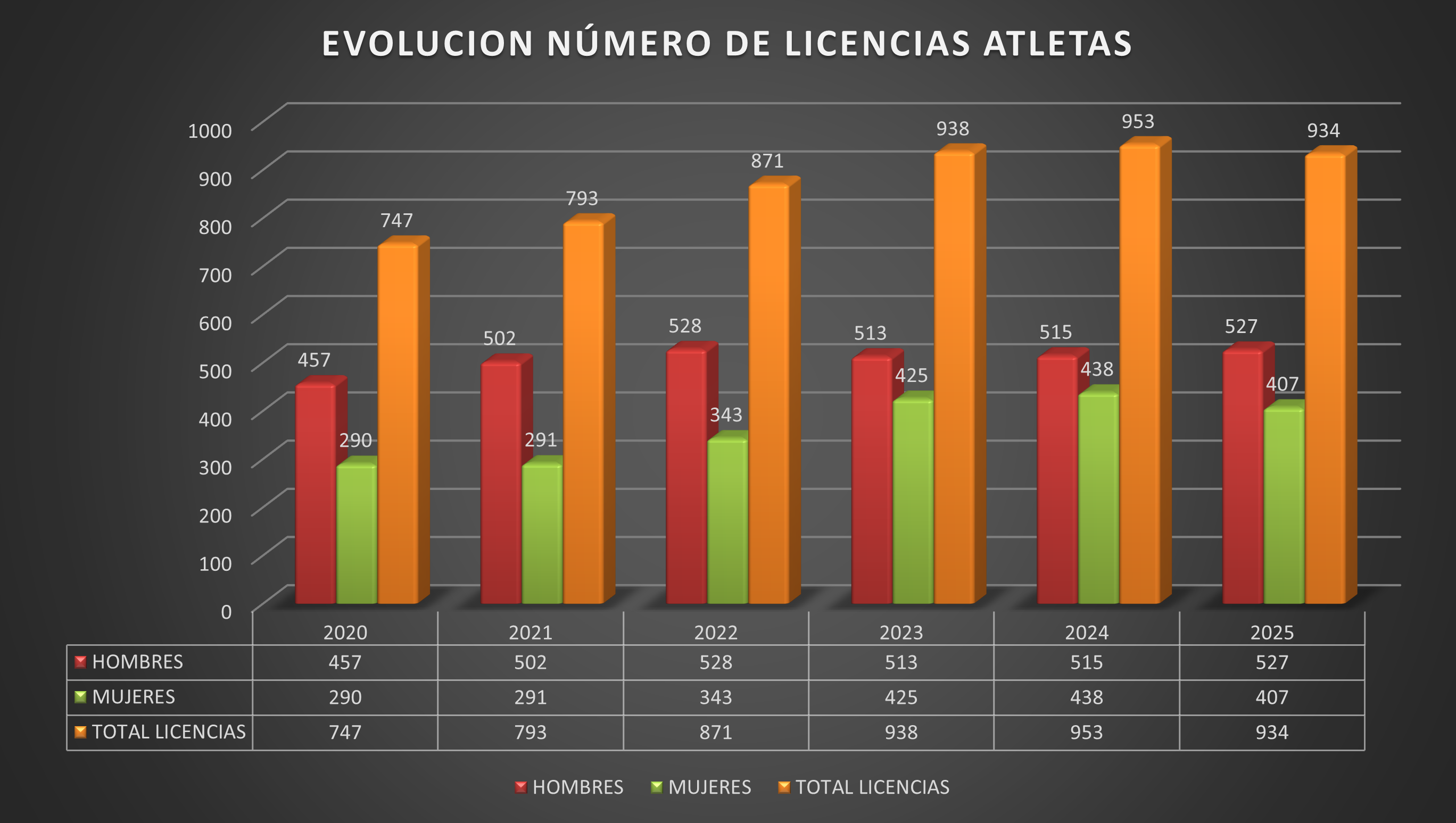 Estad&iacute;sticas licencias 2025