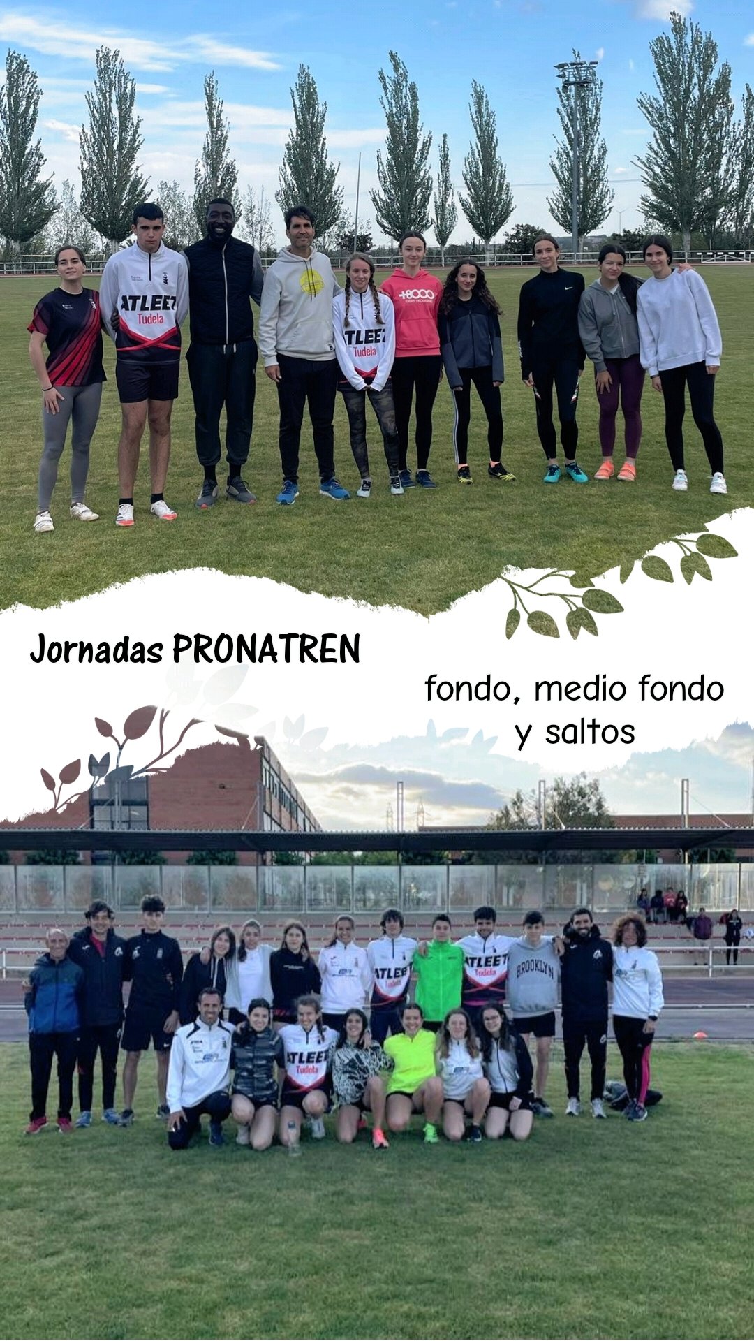 Jornadas PRONATREM