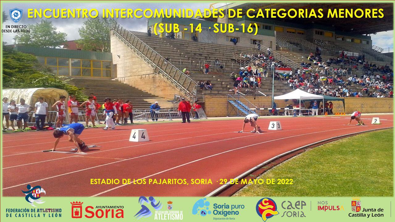 Actividad del fin de semana