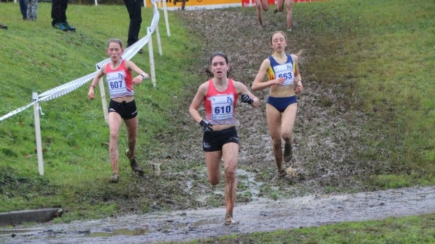 Circular Cross Relevos Mixtos y JDN, Cascante