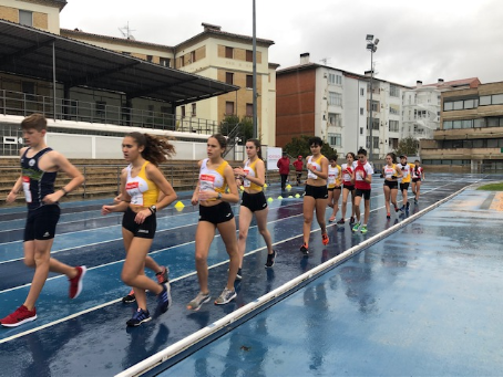 RESULTADOS JDN 23 DE NOVIEMBRE