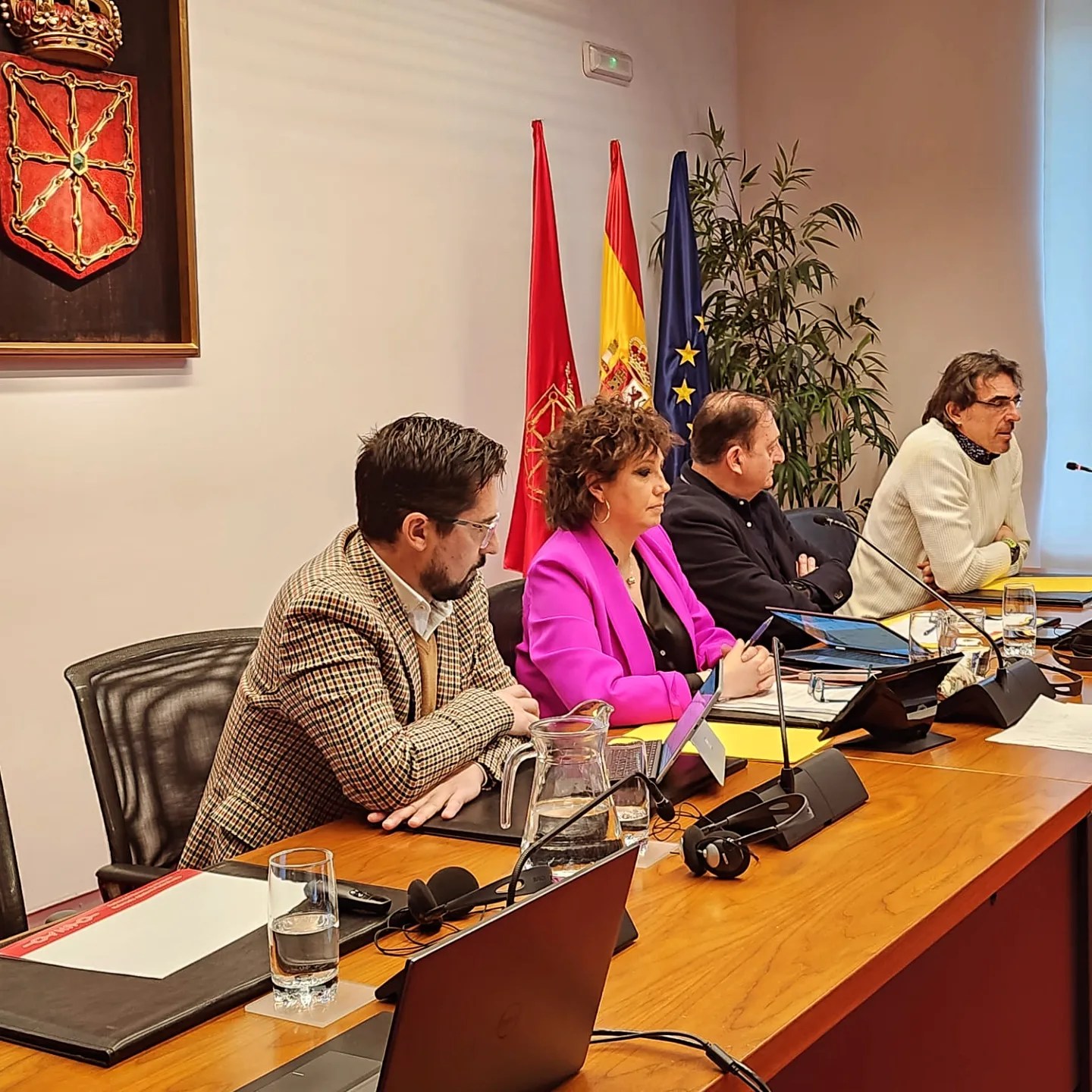La Federaci&oacute;n recibida en el Parlamento.