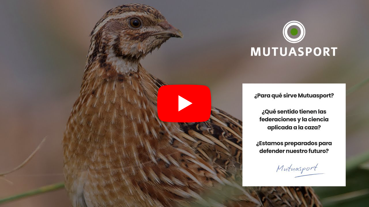 MUTUASPORT LANZA SU NUEVO VÍDEO CORPORATIVO