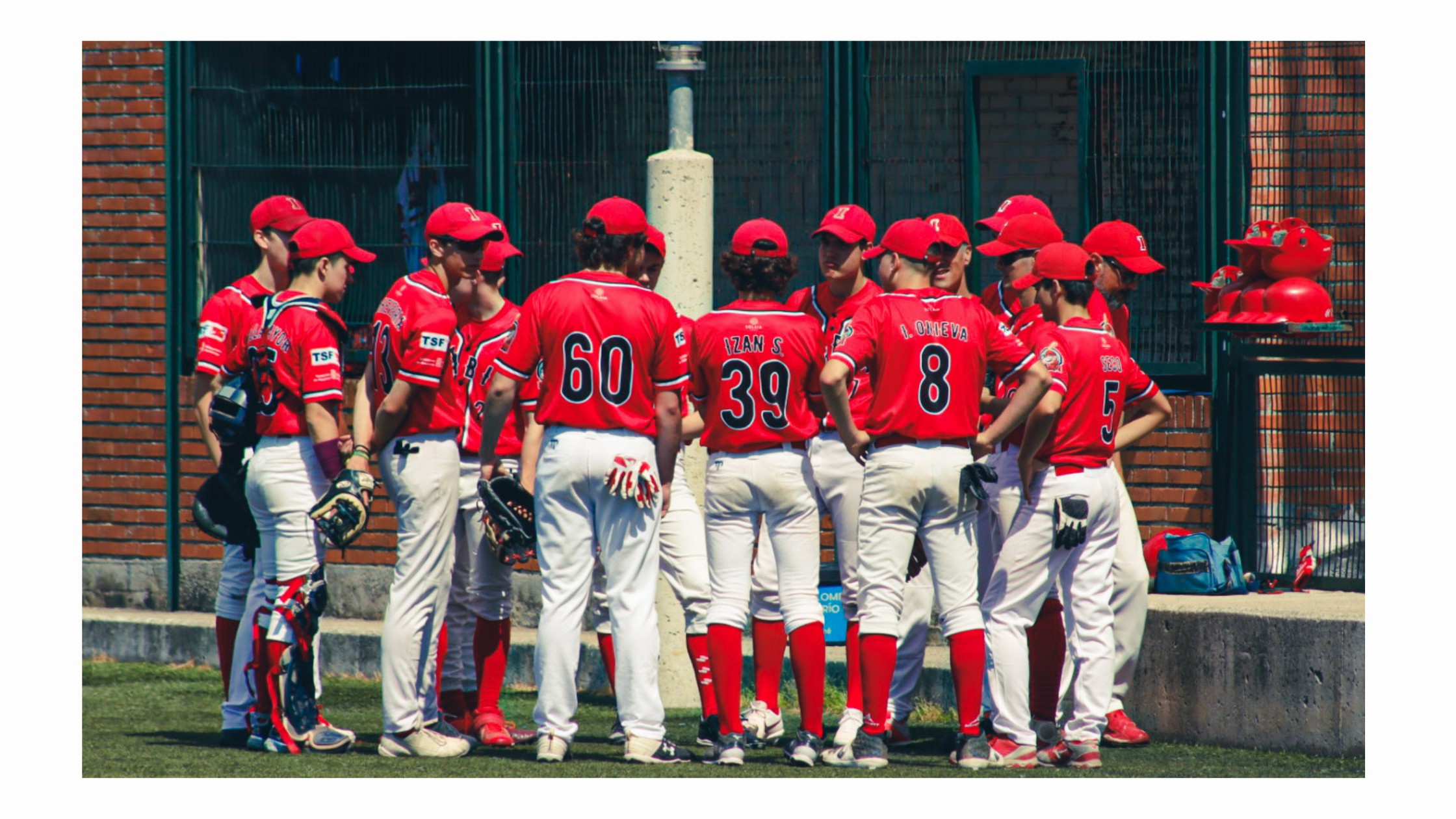Cuatro equipos navarros en la élite del beÌisbol y sófbol nacional