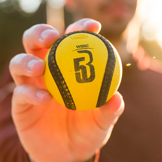 Curso de B&eacute;isbol 5