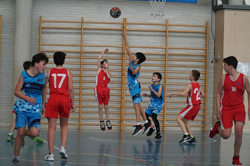 Los JDN Preinfantil Masculino cumplen su jornada 12