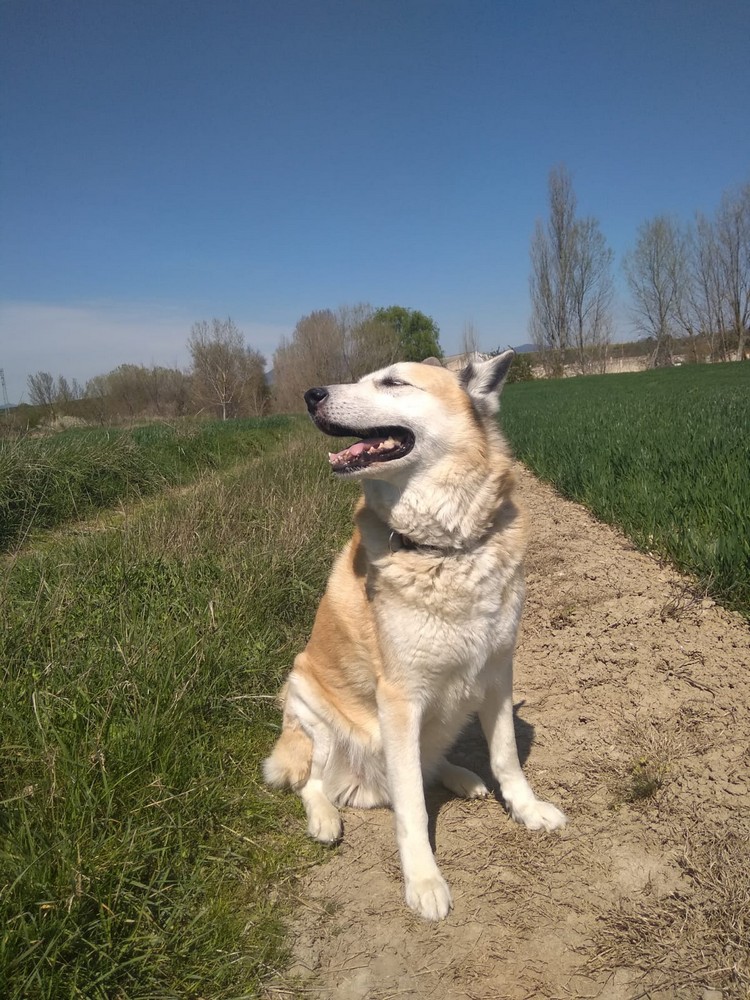 #yoentrenoencasa con Asier Aguirre