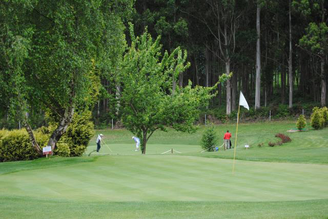 Cuatro navarros en el Campeonato de Espa&ntilde;a Masculino de Pitch and Putt