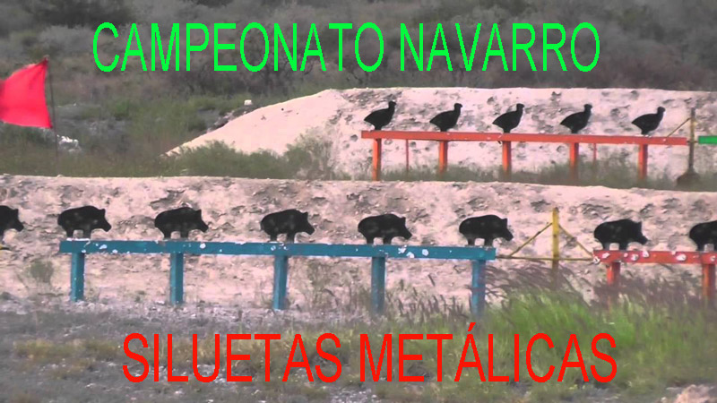 Gran igualdad en el Campeonato Navarro de Siluetas Met&aacute;licas