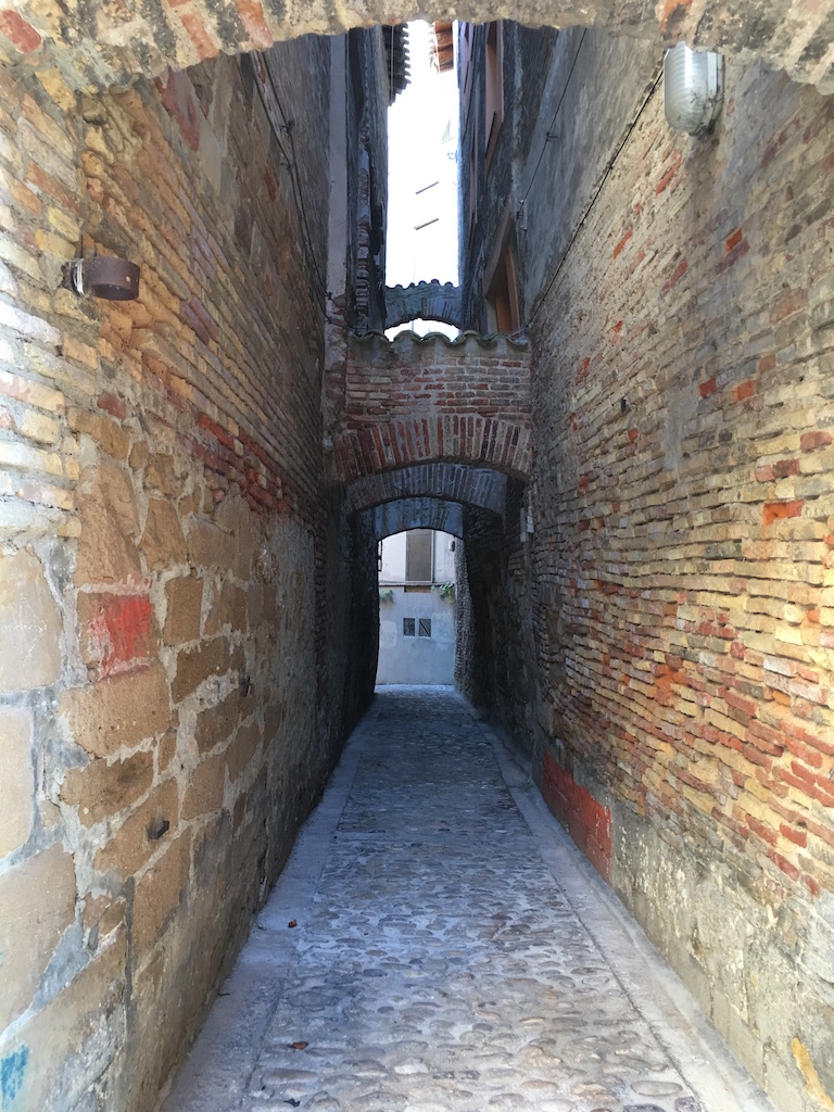 CURSO SCHOOL INSTRUCTOR FIDE Y DOCENTE FEDA