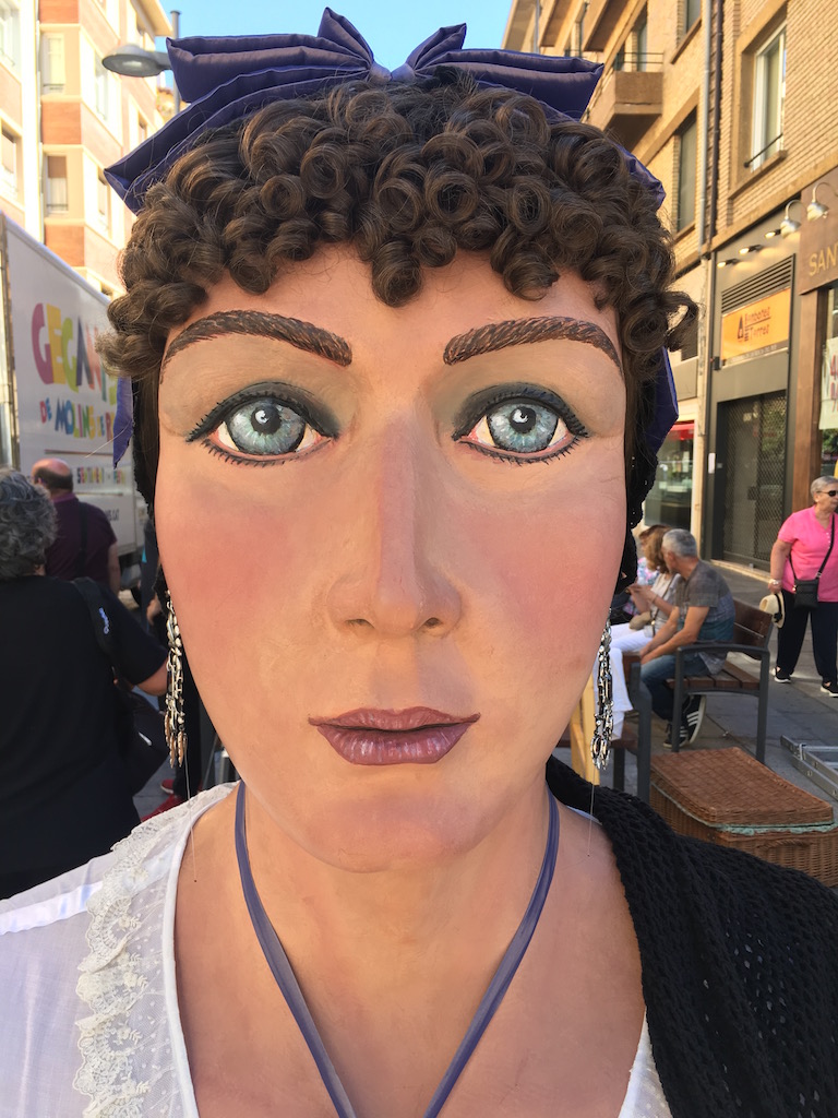 Se Precisa Monitor Colegio de Pamplona