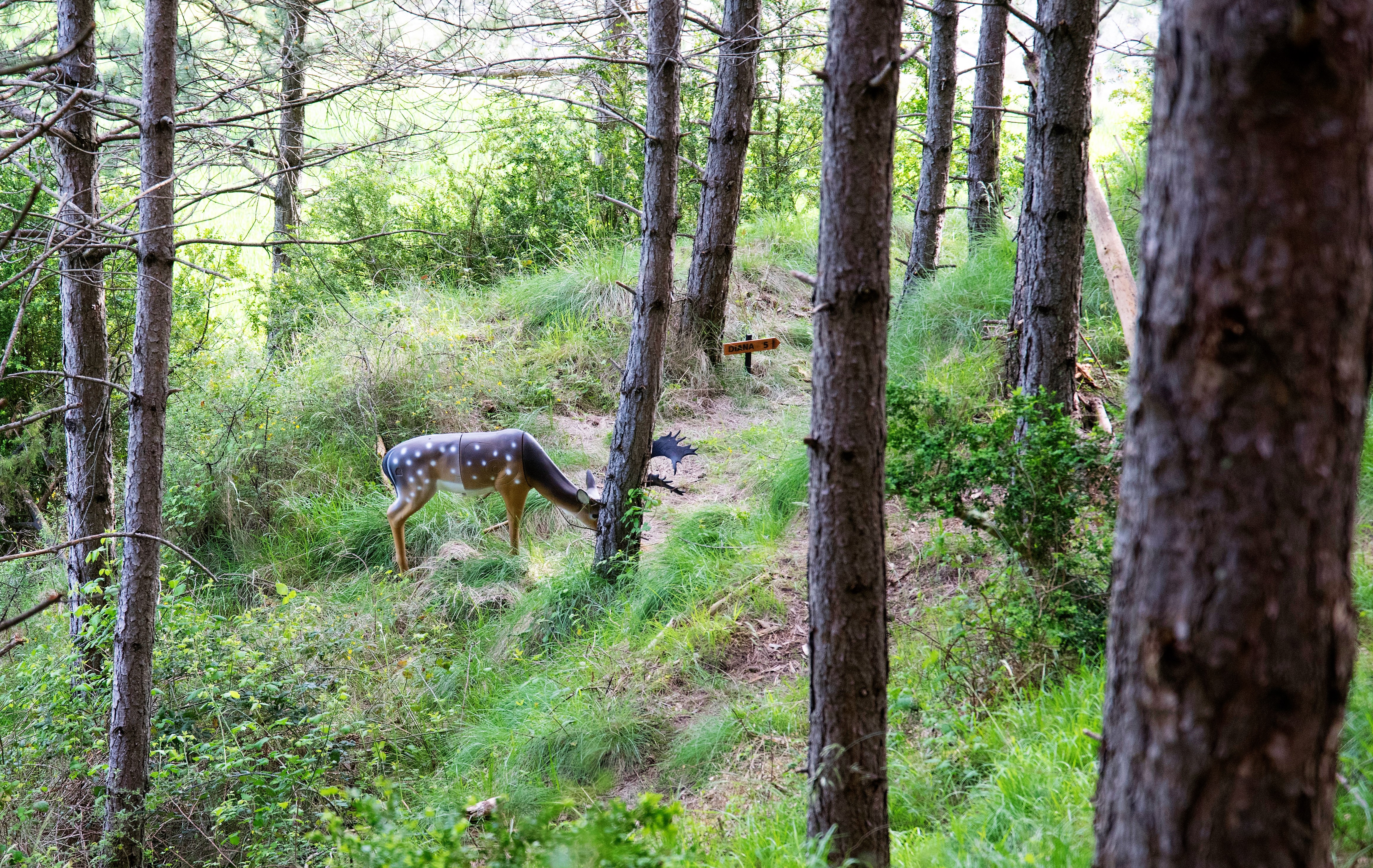 1&ordf; Tirada del Cto. Navarro de Tiro con Arco 3D 2018-19