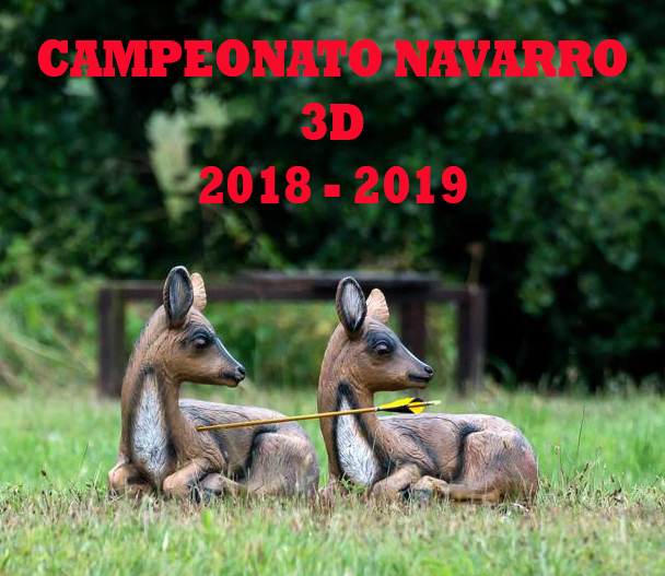 Arranca el Campeonato Navarro 3D