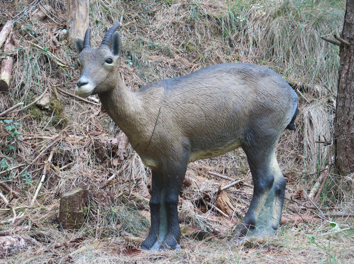 Circular 1&ordf; Tirada Cto Navarro 3D 2020