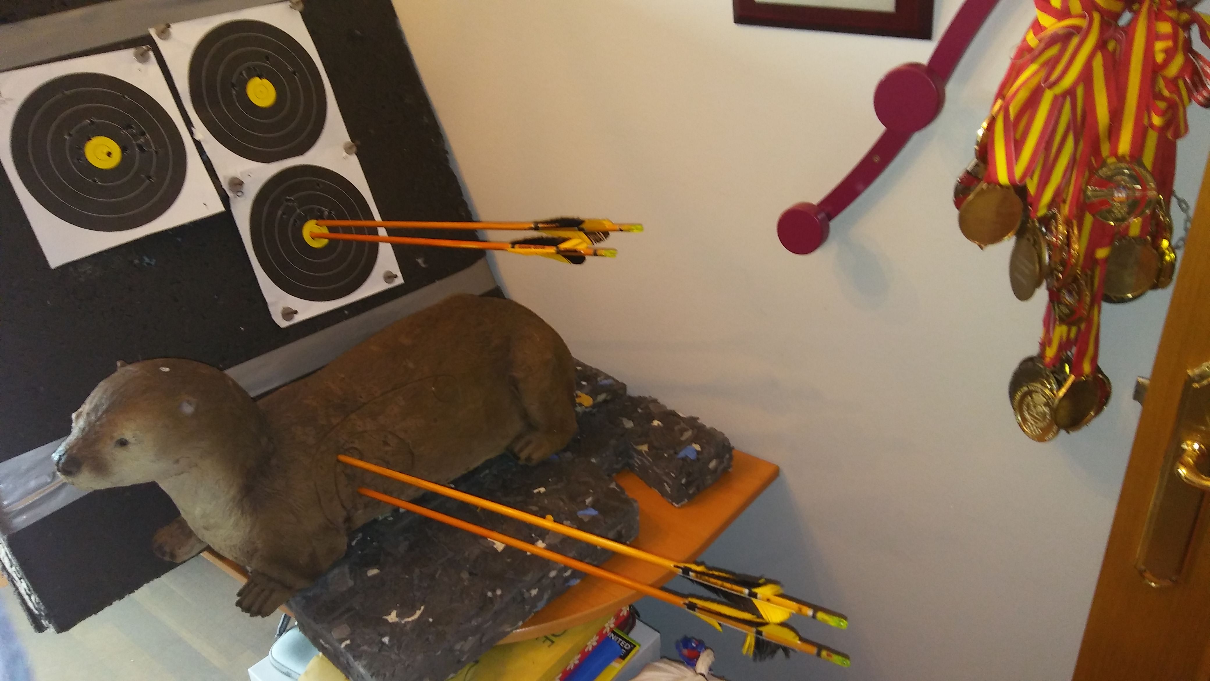 ENTRENANDO EN CASA CON ENCARNA GARRIDO - ENTREVISTA