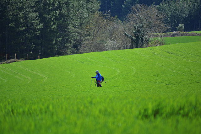 Medallas para Navarra en la 2ª Tirada de la Liga Nacional de Campo