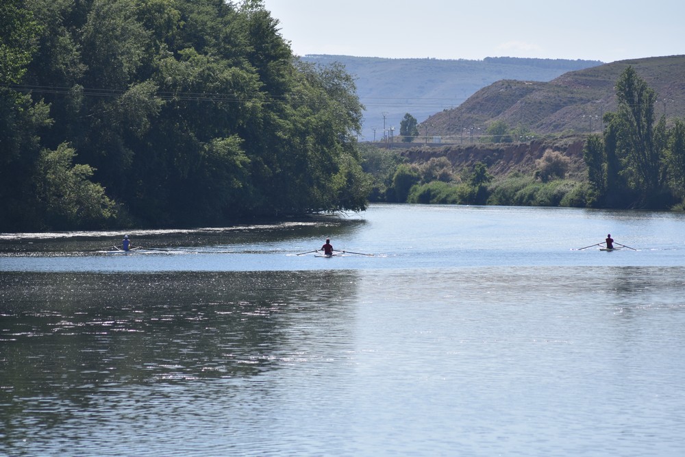 Las altas temperaturas acompañaron el Campeonato Navarro de Remo olímpico