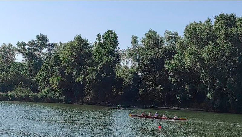 Bolet&iacute;n de Noticias del Club N&aacute;utico Navarra