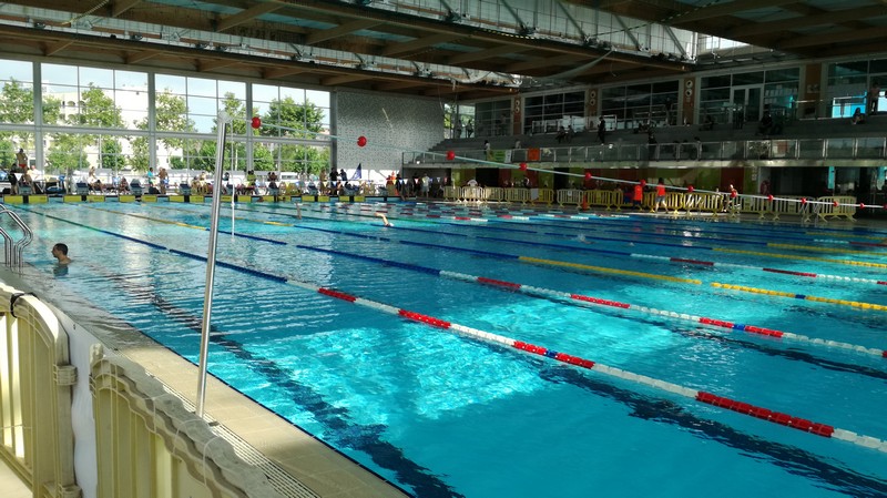 17 medallas para el CN Ardoi IK en el Campeonato de España de Clubes