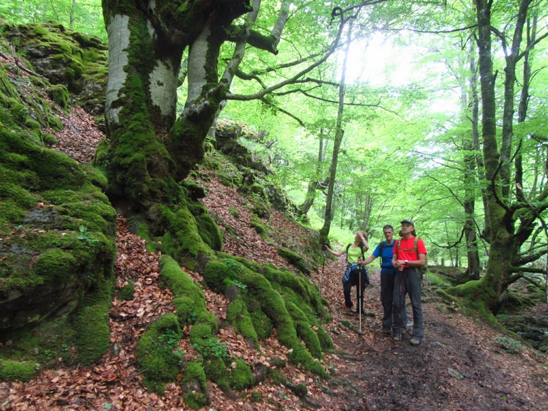 Salidas de Montaña del Grupo Arlas