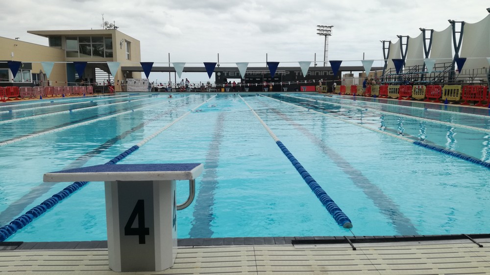 Lluvia de medallas para el CN Ardoi IK en el Campeonato de España por Clubes
