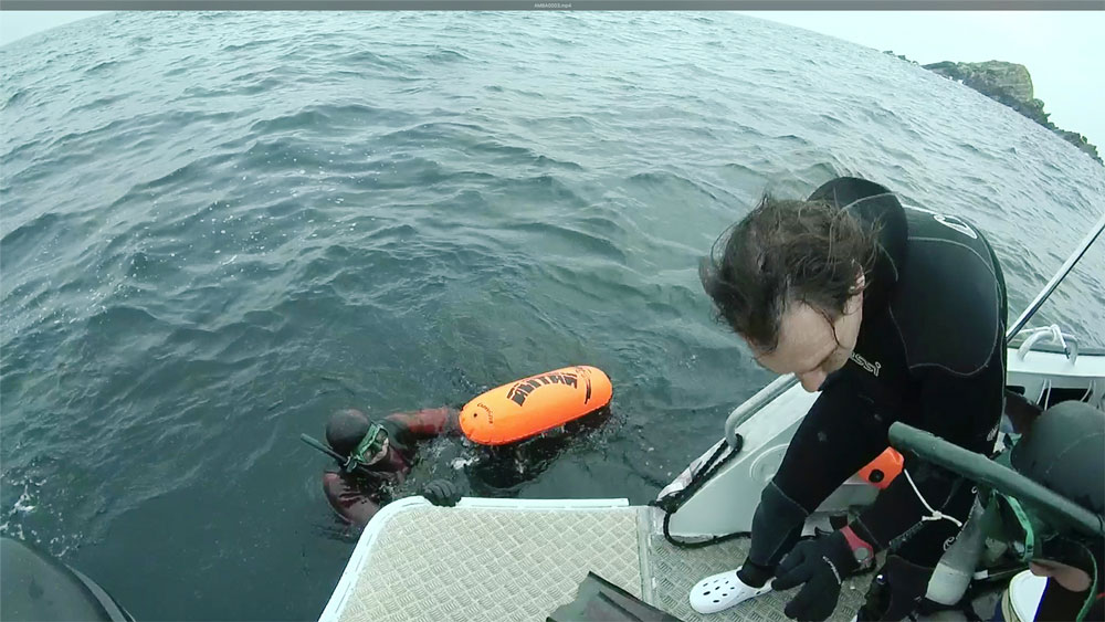 Campeonato Navarro Individual de pesca submarina 2018