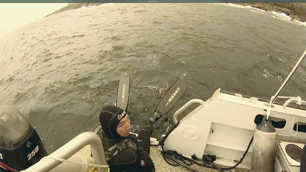 Campeonato Navarro Individual de pesca submarina 2018