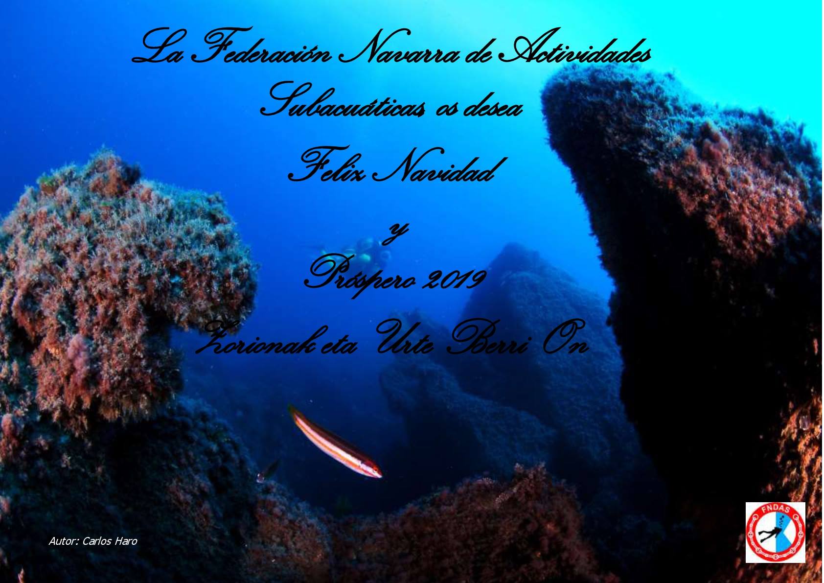 &iexcl;Feliz Navidad y pr&oacute;spero 2019!