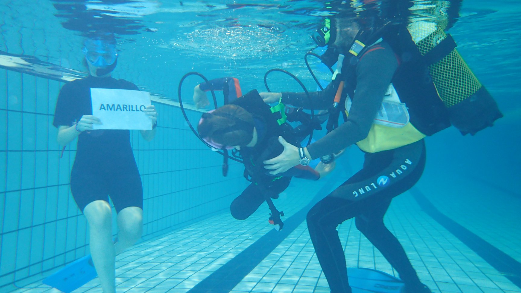 Jornada de Buceo Adaptado
