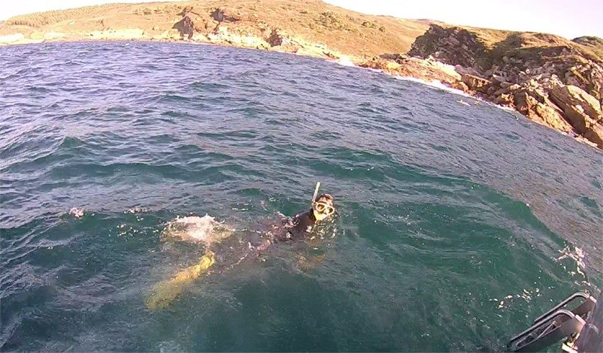 Diversi&oacute;n en la salida de Snorkel