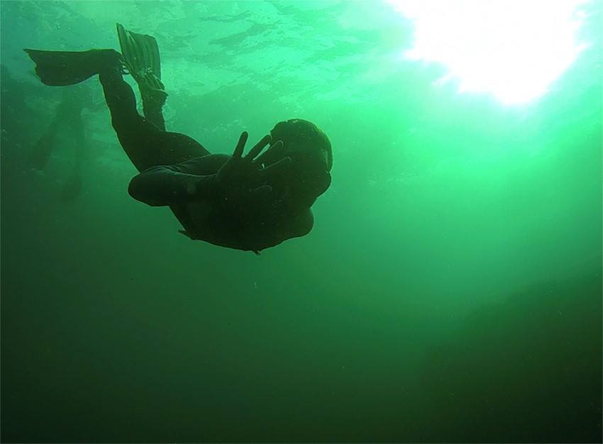 Diversión en la salida de Snorkel