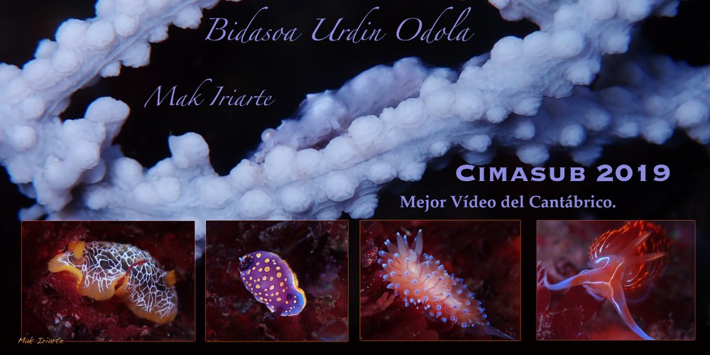 Bidasoa urdin odola, de Mak Iriarte, premiado en el CIMASUB 2019