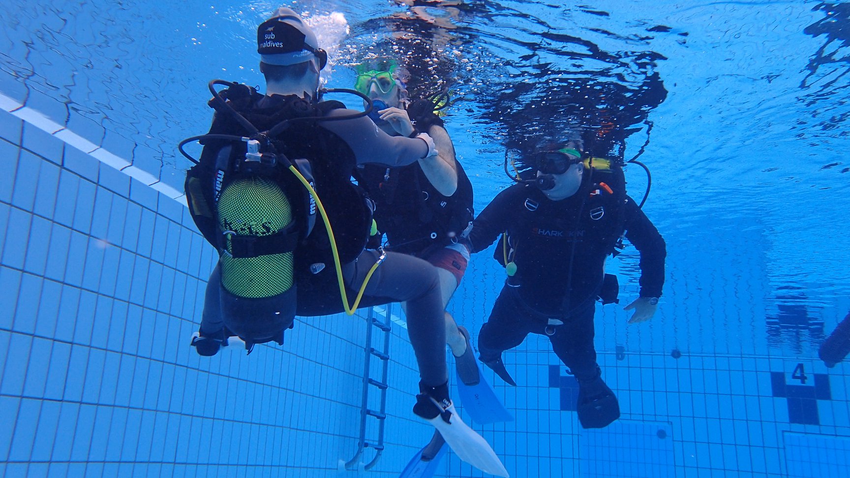 Curso Instructor y Acompañante Buceo Adaptado