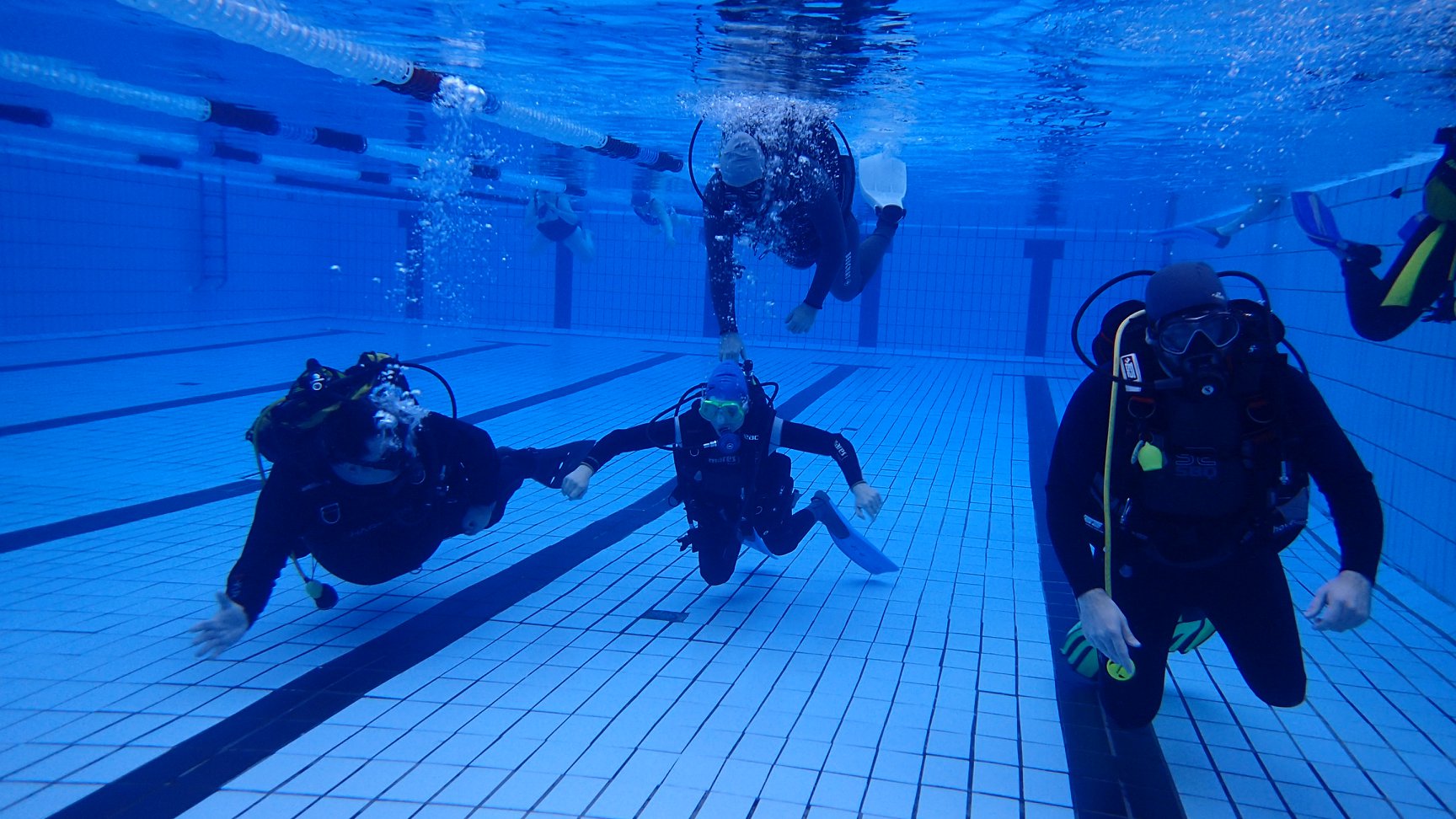 Curso Instructor y Acompañante Buceo Adaptado