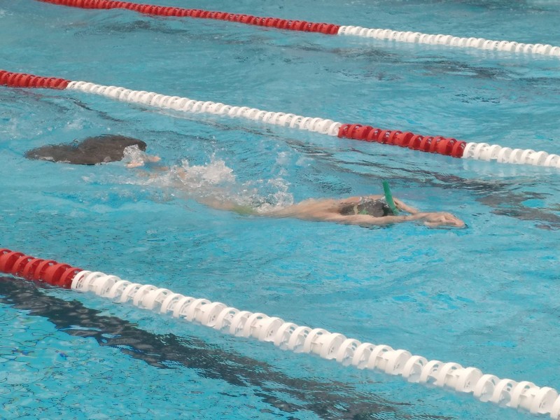 Tercera entrega de los Juegos Deportivos de Natación con Aletas