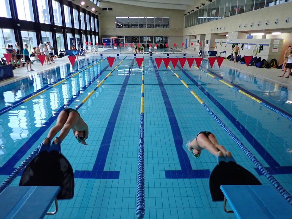 Resultados del Campeonato Navarro de Nataci&oacute;n con Aletas