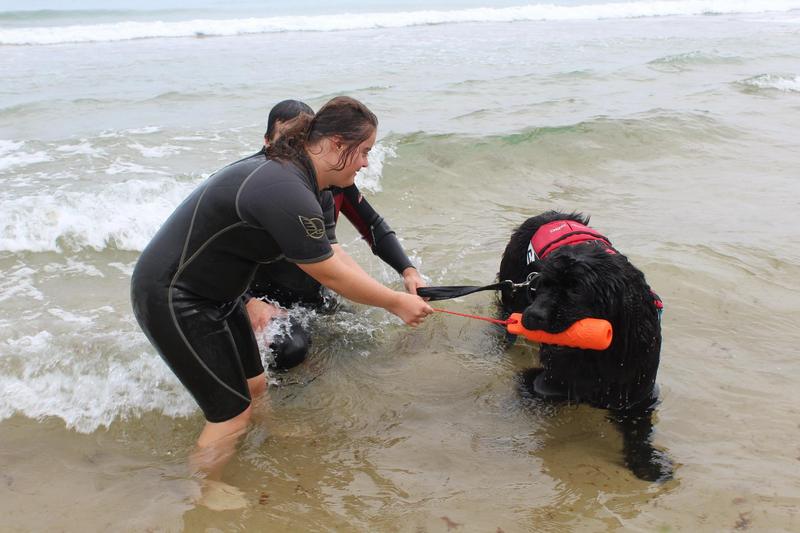 La FNDAS y la Asociación Navarra de Síndrome de Down