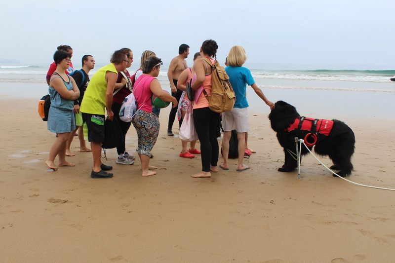 La FNDAS y la Asociación Navarra de Síndrome de Down