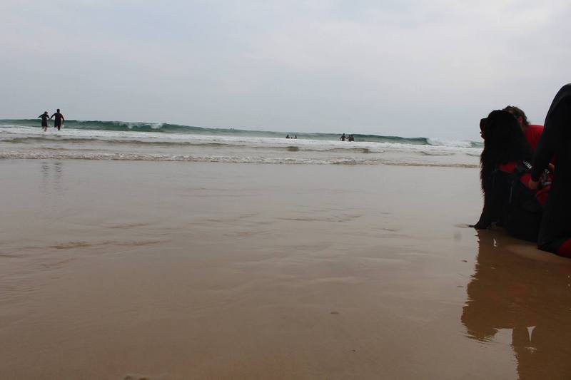 La FNDAS y la Asociación Navarra de Síndrome de Down