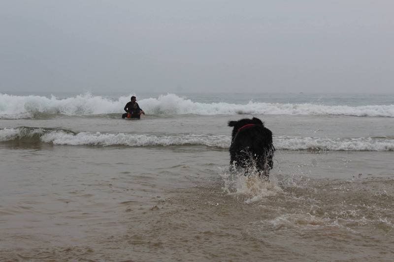 La FNDAS y la Asociación Navarra de Síndrome de Down