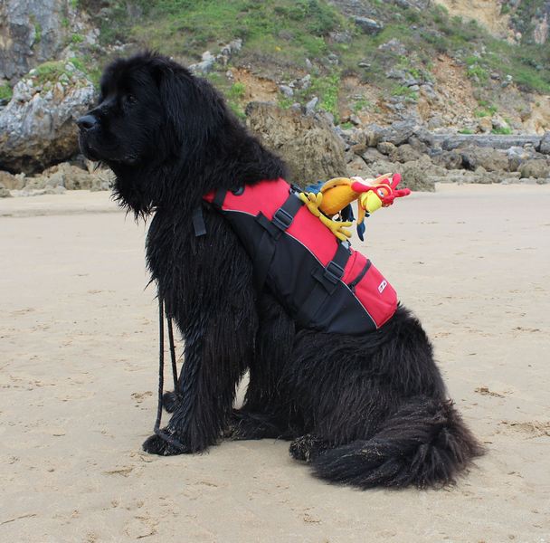 La FNDAS y la Asociación Navarra de Síndrome de Down