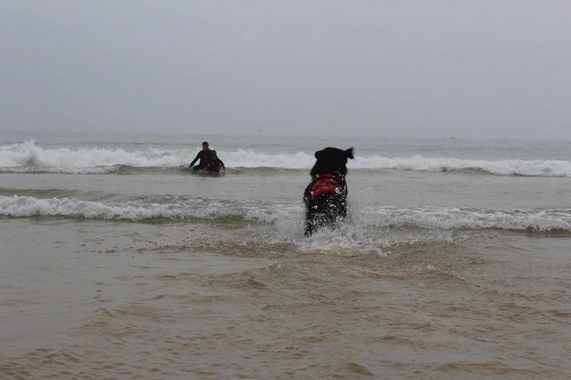 La FNDAS y la Asociación Navarra de Síndrome de Down