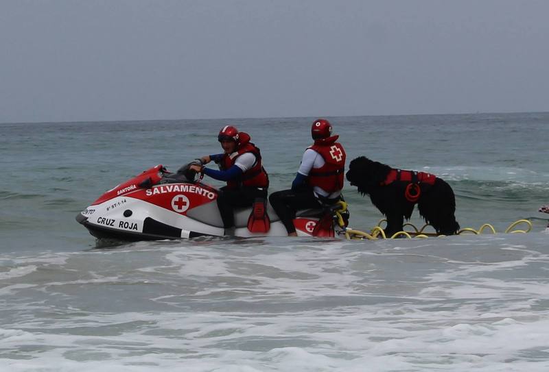 La FNDAS y la Asociación Navarra de Síndrome de Down