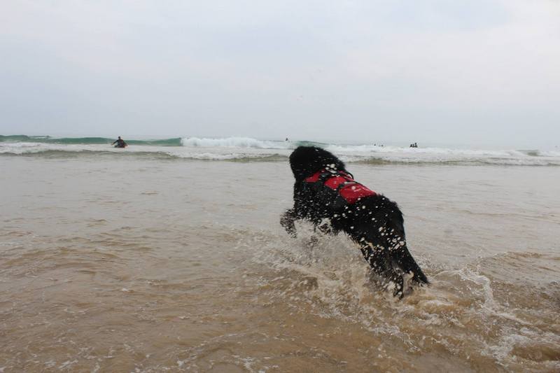 La FNDAS y la Asociación Navarra de Síndrome de Down