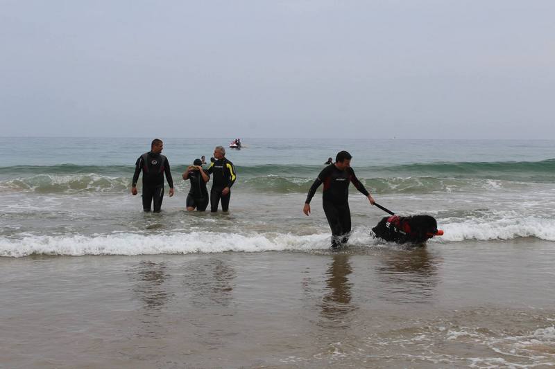 La FNDAS y la Asociación Navarra de Síndrome de Down