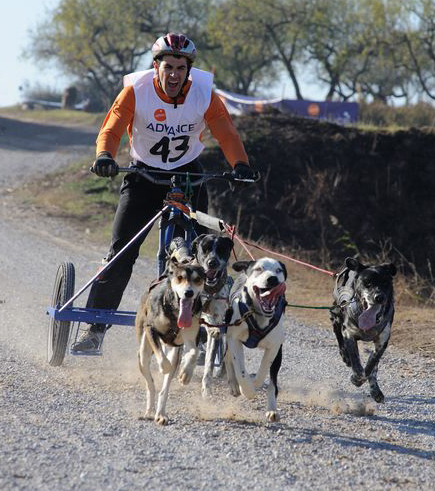 Victoria de Francisco Javier Alemanno en la Copa de Espa&ntilde;a de Mushing Tierra
