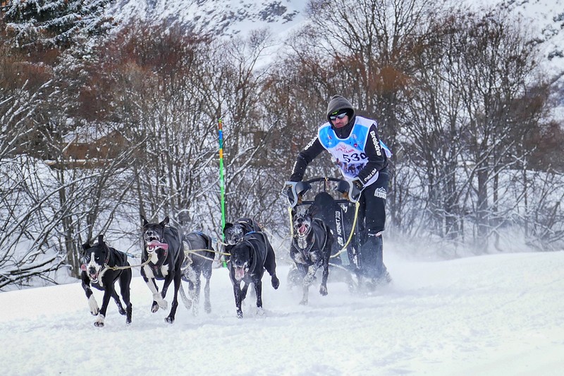 Campeonato Navarro de Mushing Nieve