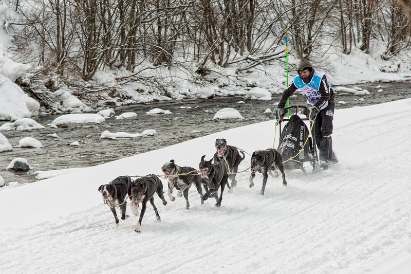 Un navarro Campeón del Mundo de Mushing