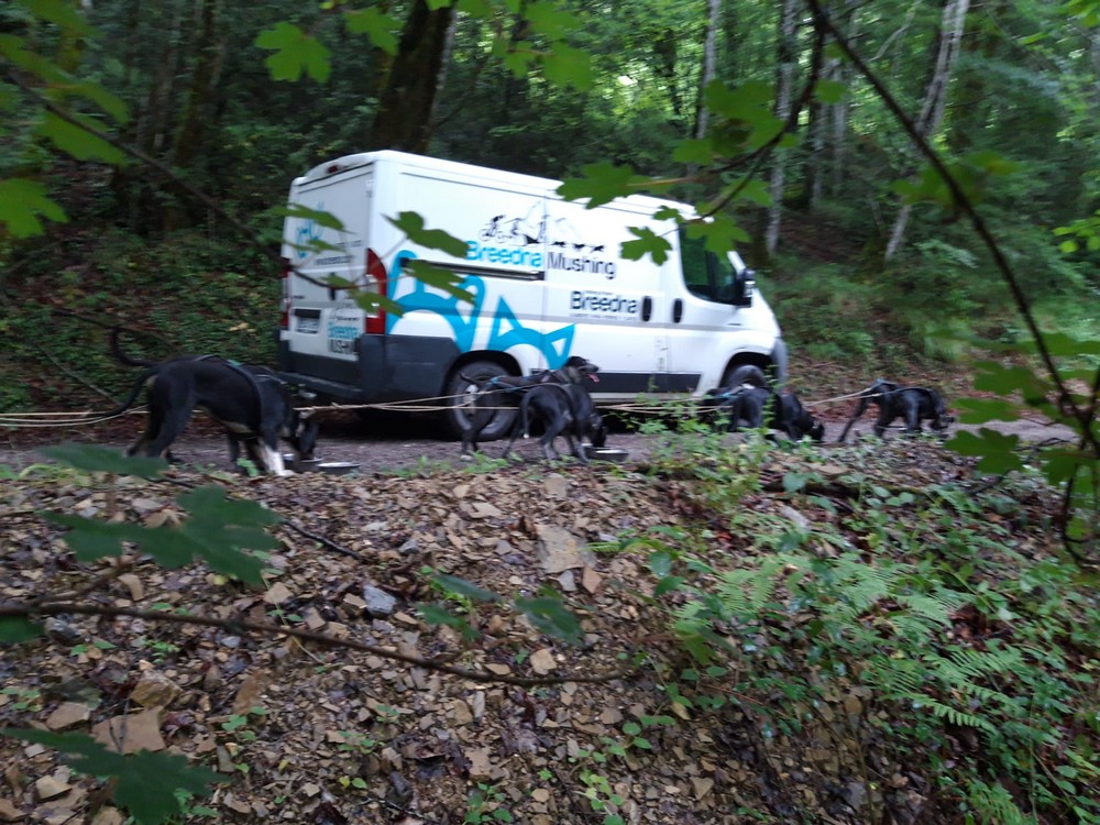 Arranca la actividad