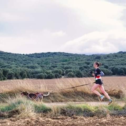 Tres podios navarros en el Campeonato de España de Mushing Tierra